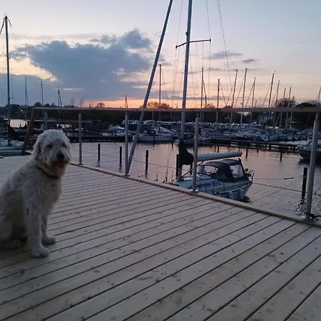 Hausboot Gluecksmomente Mit Dachterrasse In Am Ostseefjord Schlei Botel Schleswig